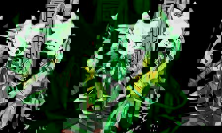 Yi (Nine Sols) [Pony Version] V1