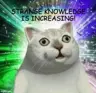 MTHALO's Avatar