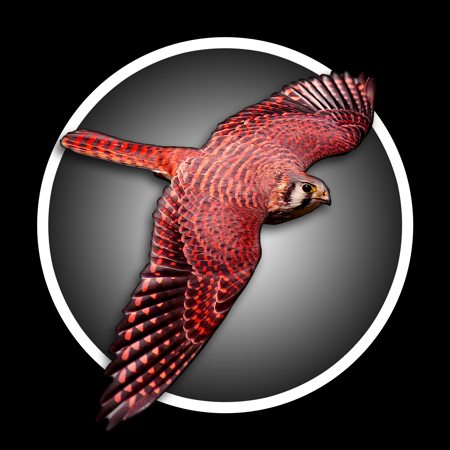 Red_Kestrel7's Avatar