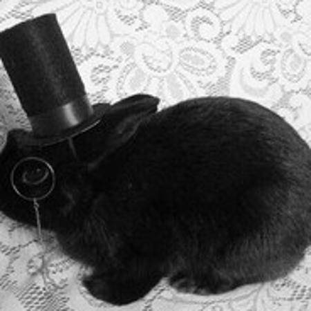 Gentlemanbunny's Avatar