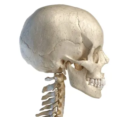 builders2's Avatar