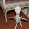 stinkmeister's Avatar