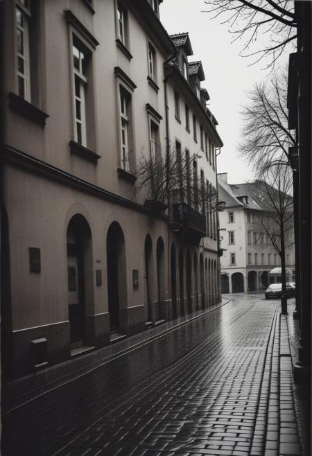 instagram photo, a rainy and dark street in europe, hard shadows, film grain, old trees,