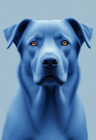 BLUdog