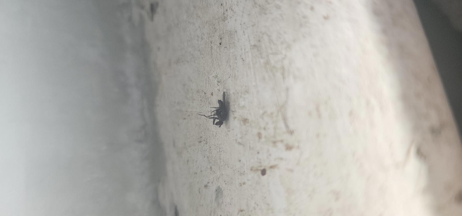 Civitai should compensate us for lost buzz due to this image issue