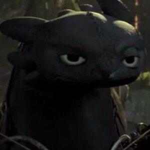 zylyjinmoa163's Avatar