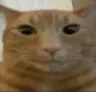 Aigenerater's Avatar