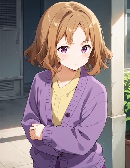 [for illustrious, animagine, pony]甘夏古奈美 Ms. AMANATSU Konami from マケイン(not John Sidney McCain III) pony v1.0