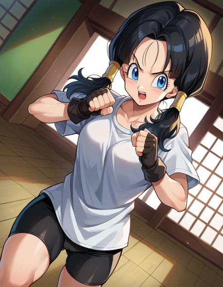 videl-99cda-1251104520.png