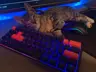andizdr's Avatar