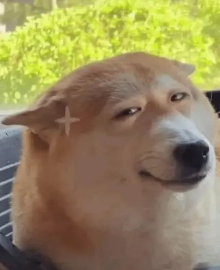 buzimage's Avatar