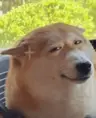 buzimage's Avatar