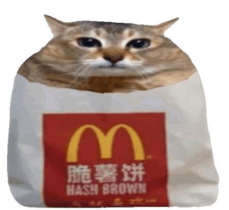 paigen's Avatar