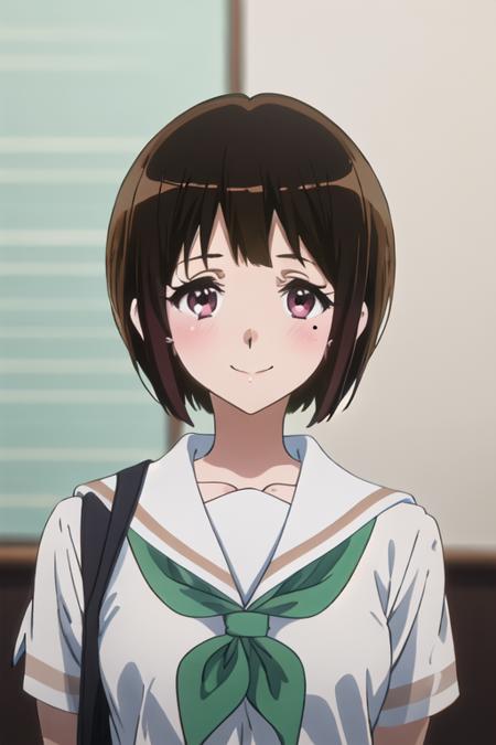 best quality, masterpiece, highres, solo, {nakaseko_kaori_soundeuphonium:1.15}, short_hair, brown_hair, serafuku, mole, mole_under_eye, blush, red_eyes, bangs, blurry, 1girl, blue_sailor_collar, kitauji_high_school_uniform, sailor_collar, school_uniform, shirt, white_shirt, green_neckerchief, neckerchief, closed_mouth, indoors, looking_at_viewer, blurry_background, smile