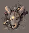 Ete6557's Avatar