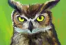 AIgula's Avatar