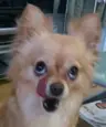 Jax_master's Avatar