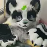 TokalaWolf's Avatar
