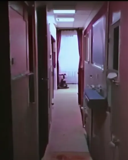 SNVHS_V1