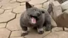 harperlee's Avatar