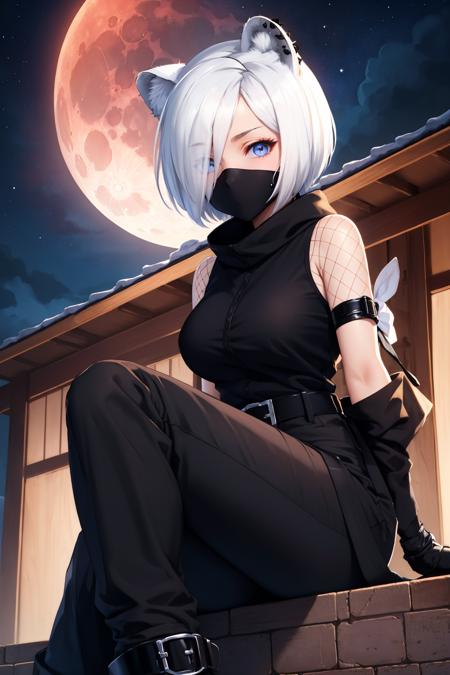 arkShirayuki hair over one eye, animal ears, black mask, fishnets, tail, ninja mask, black shirt, black gloves, black pants, black boots hair over one eye, animal ears, white mask, tail, ninja mask, white shirt, fur trim, white pants, white shoes, white gloves