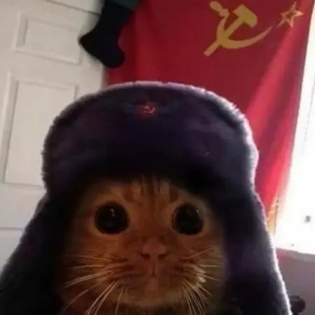 g13726793278824's Avatar