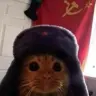 g13726793278824's Avatar