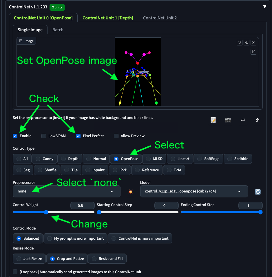 openpose-settings.png