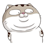 JudgementalCat