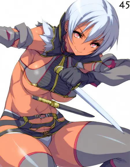 Queen's Blade Characters and Battle Concept (Illustrious / Pony)