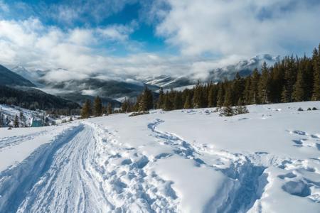 (a large body of water with snowy mountains in the background), (fog, foggy, rolling fog), (clouds, cloudy, rolling clouds), dramatic sky and landscape, extraordinary landscape, (beautiful snow capped mountain background), (forest, dirt path)