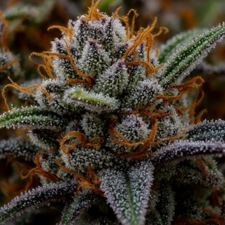 Flux W33d Trichomes V1