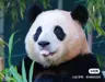 er1cw00's Avatar