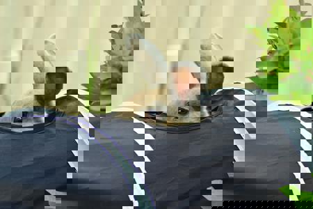 HorrorFan2428997's Avatar