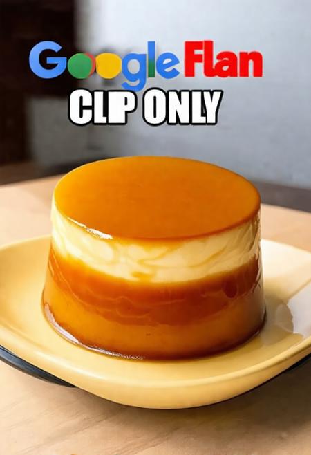 T5xxl Google FLAN from FP32 (CLIP ONLY) FP8_E4M3