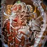 casamatta's Avatar