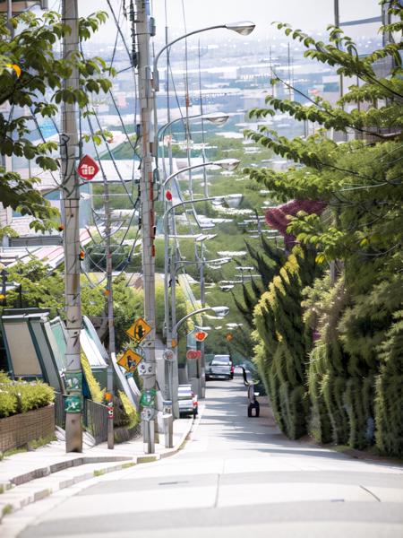 masterpiece, best quality, ultra-detailed, illustration,
haruhizaka, kitakoumae, scenery, outdoors, road, power lines, city, tree, building, sign, cityscape, road sign, utility pole, ground vehicle, motor vehicle, street, car, sky, day, real world location, realistic, 
 <lora:kitakoukou:1>