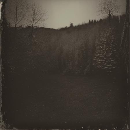 Wet Collodion 1850s V1