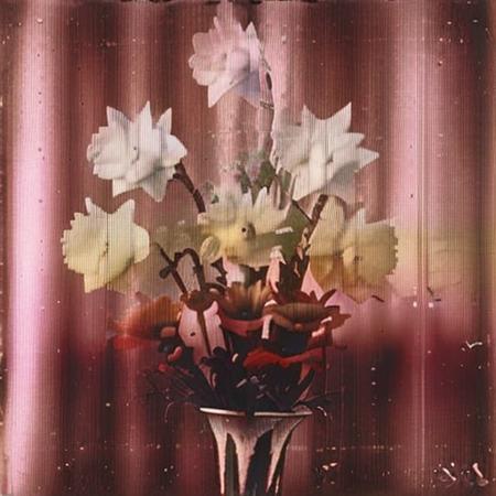 Jolly Process V1