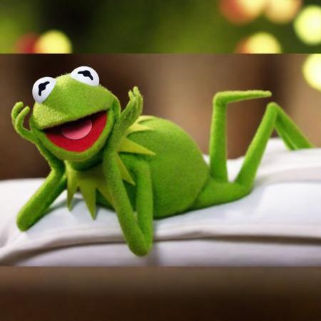 Kermit1024,a  muppet frog, sexy pose on a bed, highly detailed, photography, ultra sharp, film, bokeh, professional, 4k    <lora:Kermit1024:0.8> <lora:lcm_lora_sdxl:1>