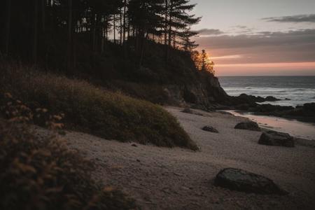 raw photo, a sunset landscape, oregon coast, cozy, photorealistic, high detailed texture, 8k uhd, dslr, soft lighting, high quality, film grain, Fujifilm XT3, Sony A7 IV, highly detailed photography, (muted colors, cinematic, dim colors, soothing tones:1.2), vibrant, insanely detailed, hyperdetailed, (dark shot:1.2), (vsco:0.3), (intricate details:0.9), (hdr, hyperdetailed:1.2)
