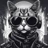 supercatdoing1456's Avatar