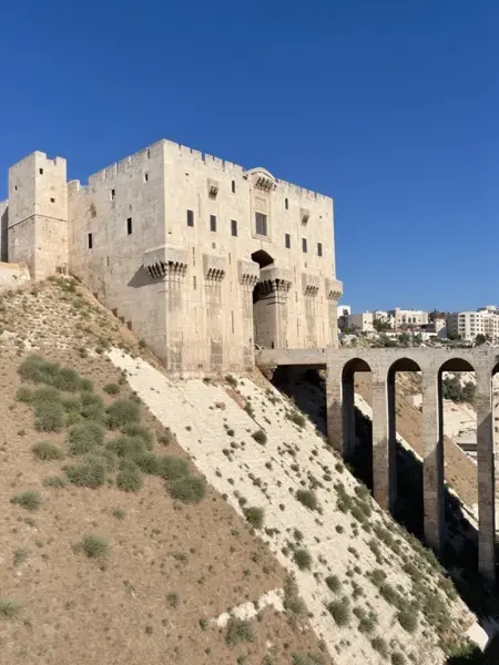 Aleppo citadel general view