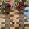 Jess_ai_ca