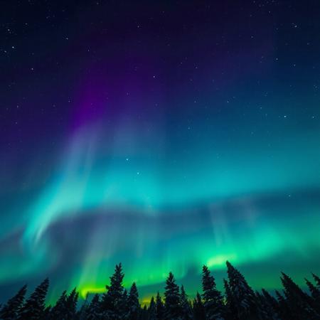 Ultra-realistic, breathtaking night sky, swirling northern lights, shades of green, purple, and blue.  glowing aurora borealis, sharply detailed, mesmerizing night sky, photography, flattering lighting, professional, engaging, compelling composition, winter, snow, Coniferous trees,