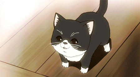 SayakuyaTaiwan's Avatar