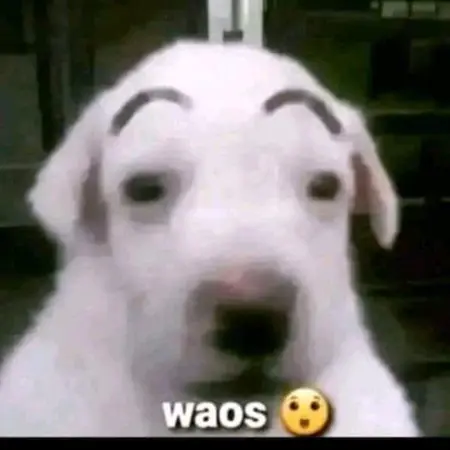 dubur621652's Avatar