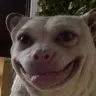 MrSyabro's Avatar