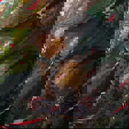 StBSP's Avatar