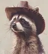 DatRaccoon01's Avatar